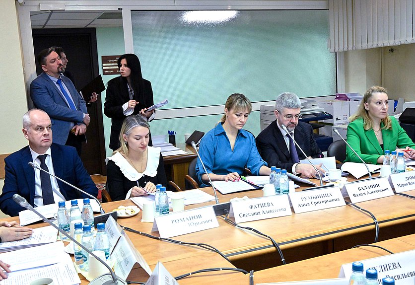 Заседание Комитета по защите семьи, вопросам отцовства, материнства и детства