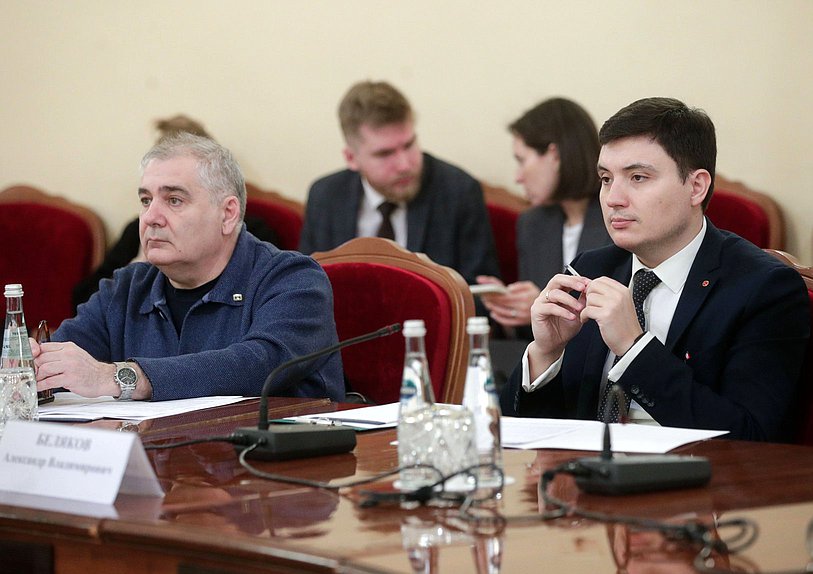 Заседание рабочей группы по выработке предложений, направленных на своевременное обеспечение качественными жилыми помещениями лиц из числа детей-сирот и детей, оставшихся без попечения родителей