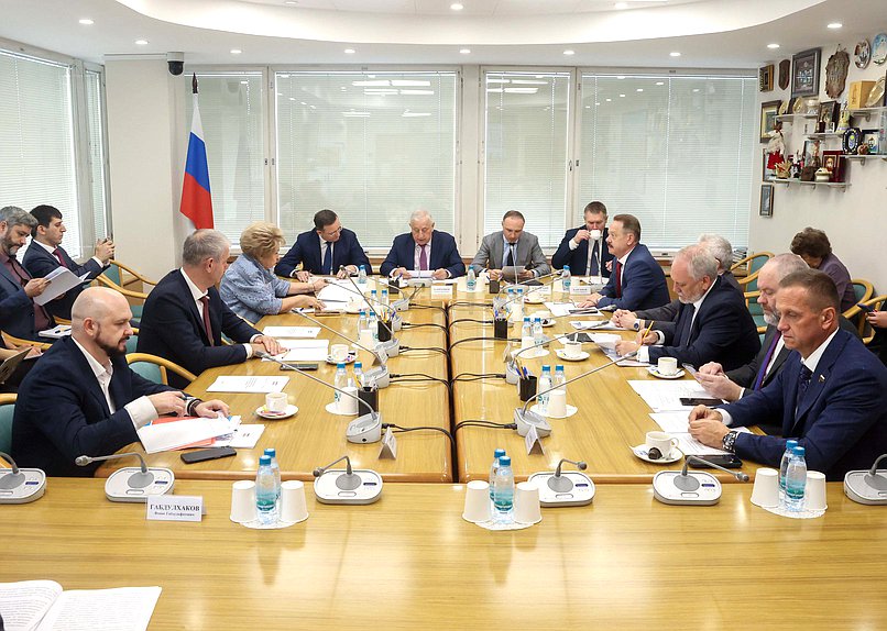 Заседание Комитета по развитию Дальнего Востока и Арктики