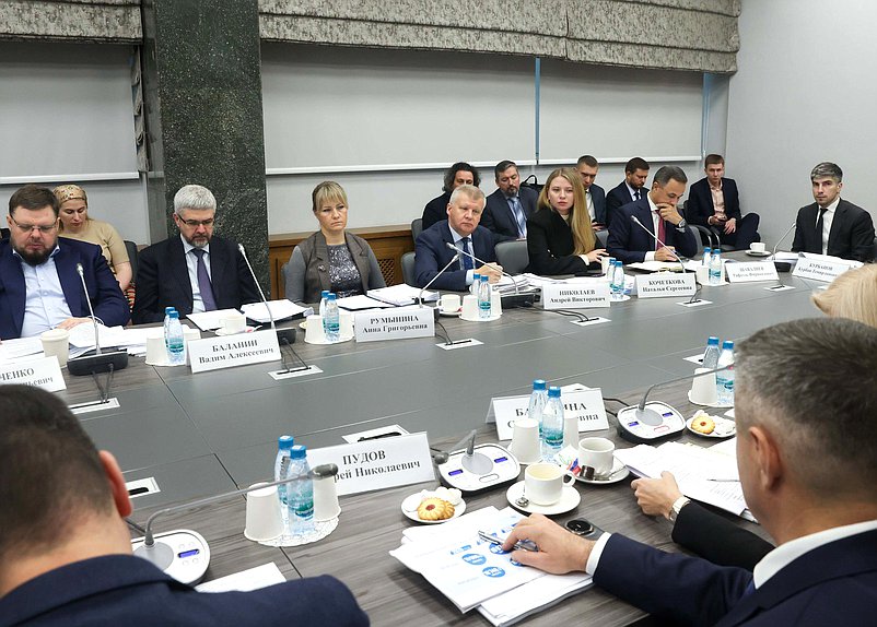 Заседание Комитета по защите семьи, вопросам отцовства, материнства и детства