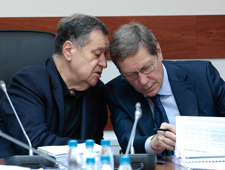 Председатель Комитета по бюджету и налогам Андрей Макаров и заместитель Председателя Государственной Думы Александр Жуков