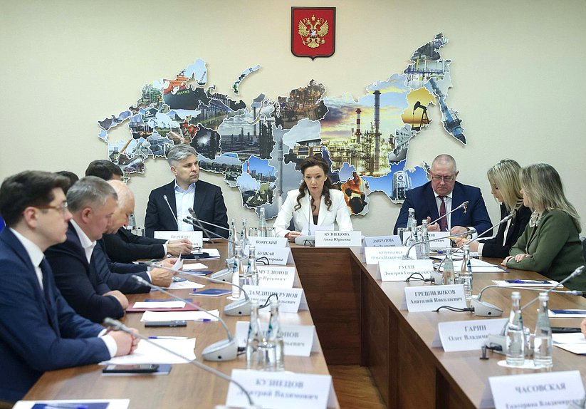 Заседание Экспертного совета по вопросам совершенствования законодательства в социальной сфере