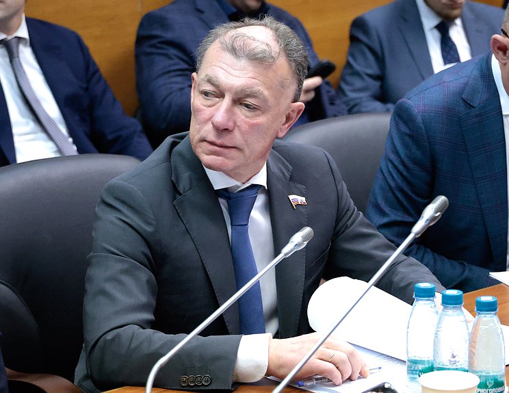 Председатель Комитета по экономической политике Максим Топилин