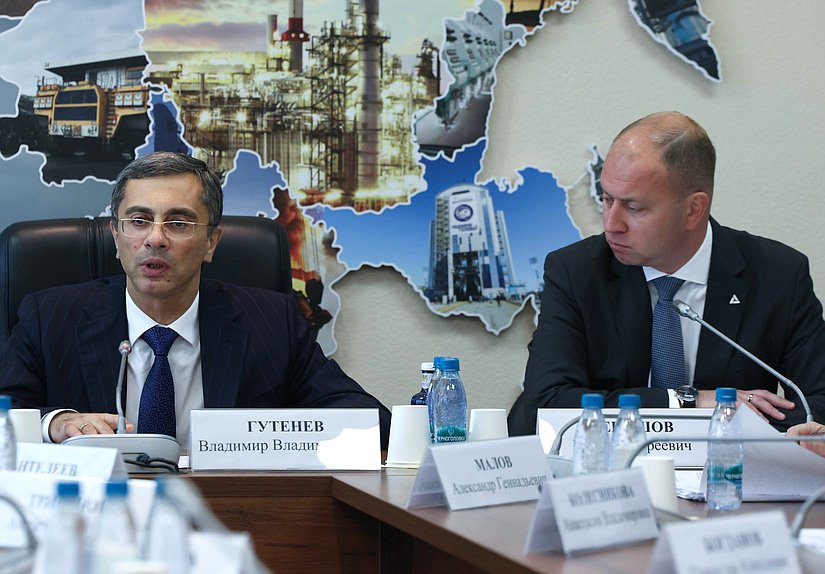 Председатель Комитета по промышленности и торговле Владимир Гутенев