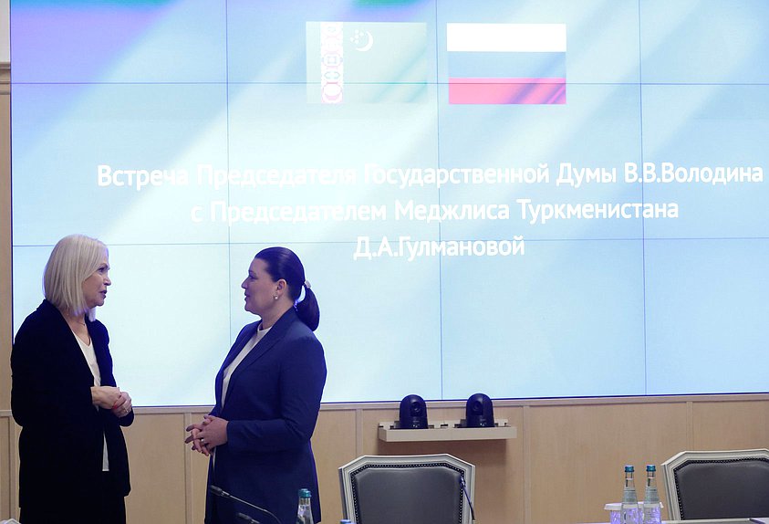 Председатель Комитета по просвещению Ирина Белых и член Комитета по защите семьи, вопросам отцовства, материнства и детства Василина Кулиева