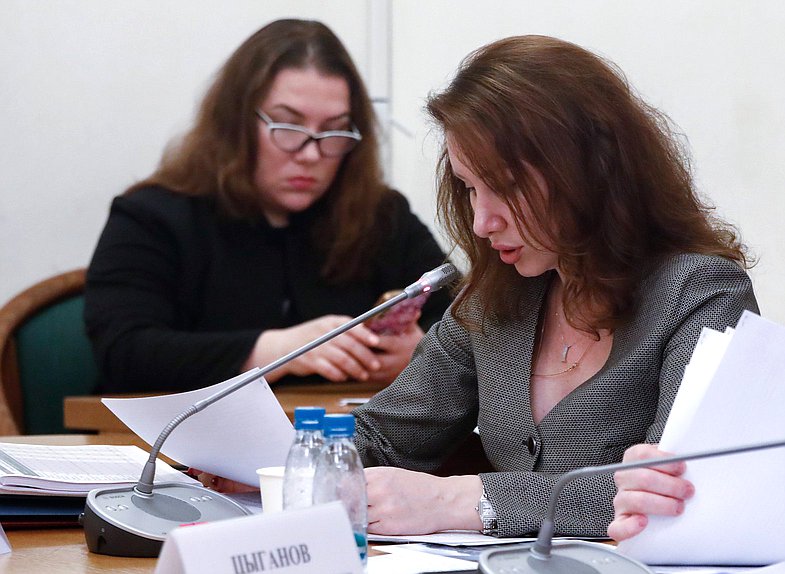 Первый заместитель Министра финансов РФ Ирина Окладникова