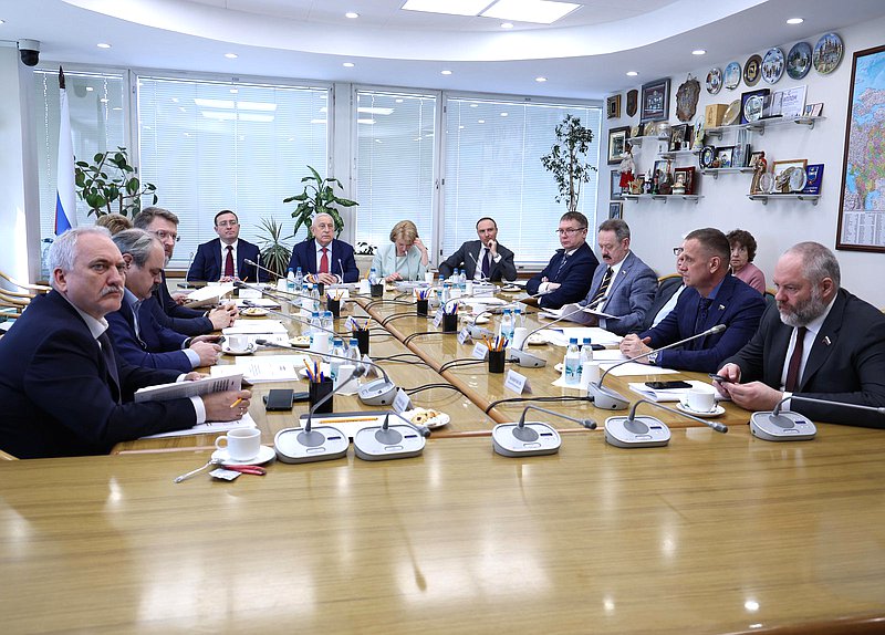 Заседание Комитета по развитию Дальнего Востока и Арктики