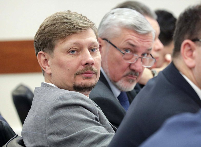 Заместитель Председателя Комитета по энергетике Владимир Плякин