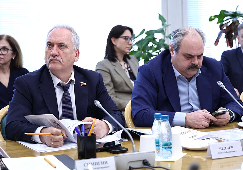 Члены Комитета по развитию Дальнего Востока и Арктики Павел Симигин и Алексей Веллер