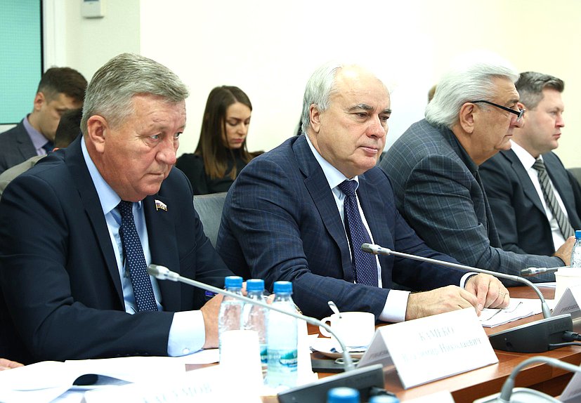 Члены Комитета по энергетике Владимир Камеко и Павел Завальный