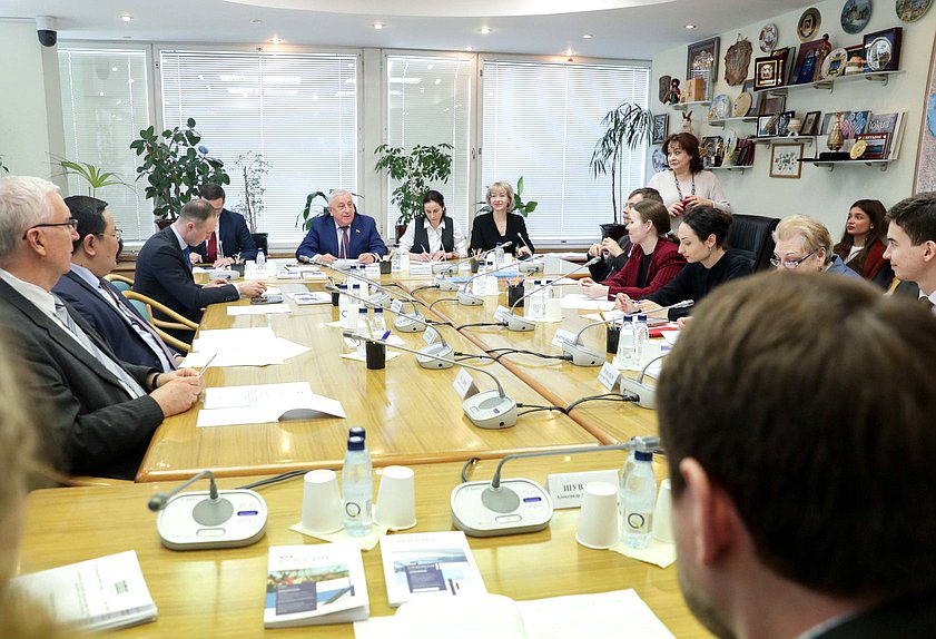 Круглый стол Комитета по развитию Дальнего Востока и Арктики на тему «Жизненные стратегии молодежи российской Арктики и Дальнего Востока: факторы формирования и перспективы реализации»