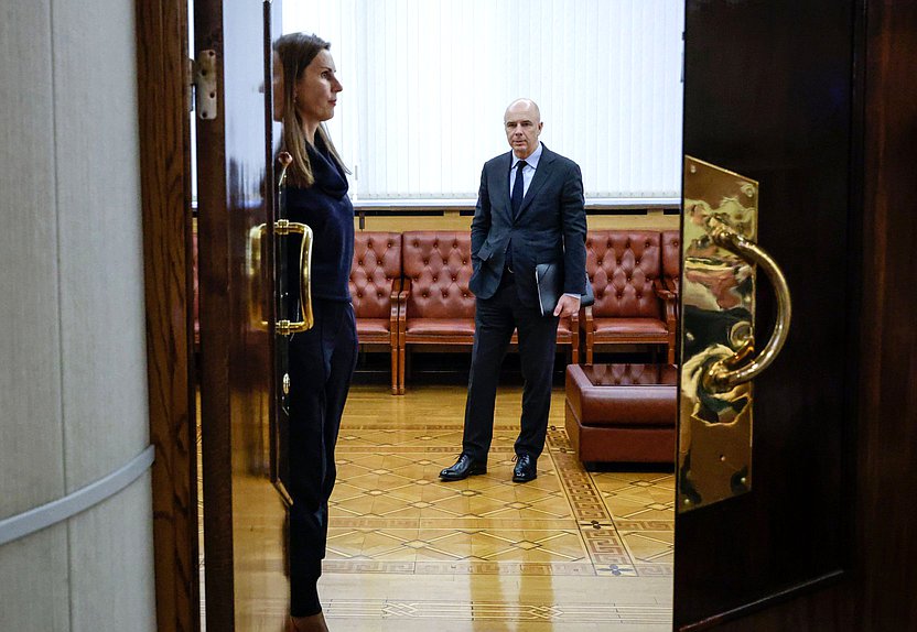 Министр финансов РФ Антон Силуанов