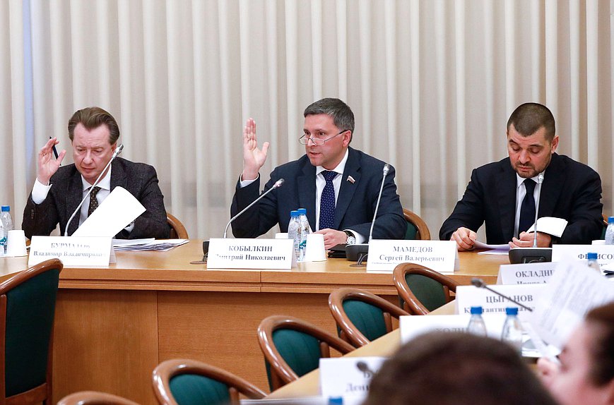 Председатель Комитета по экологии, природным ресурсам и охране окружающей среды Дмитрий Кобылкин, Первый заместитель Председателя Комитета Владимир Бурматов и аудитор Счетной палаты РФ Сергей Мамедов