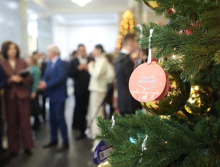 Всероссийская новогодняя акция «Елка желаний — 2025»