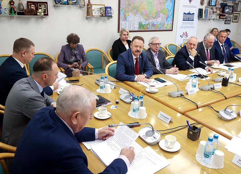 Заседание Комитета по развитию Дальнего Востока и Арктики