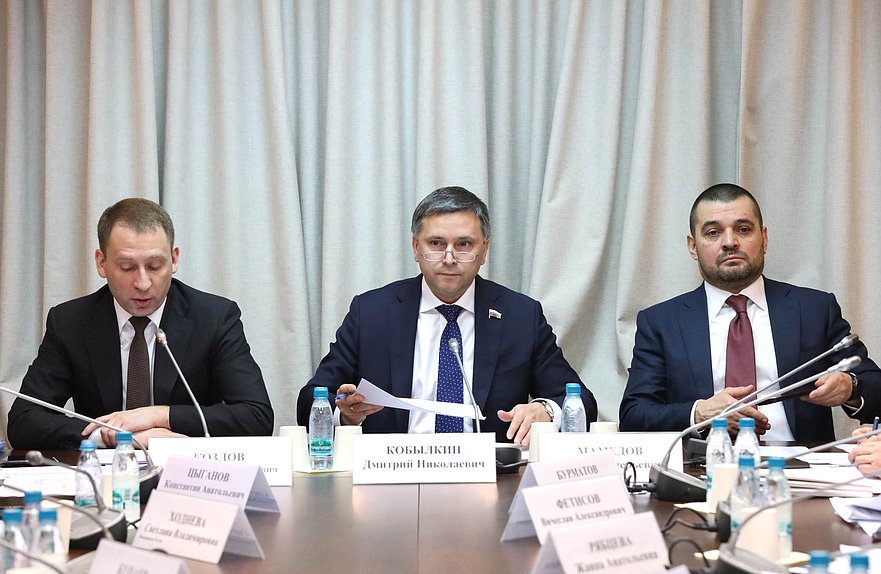 Министр природных ресурсов и экологии РФ Александр Козлов, Председатель Комитета по экологии, природным ресурсам и охране окружающей среды Дмитрий Кобылкин и аудитор Счетной палаты РФ Сергей Мамедов