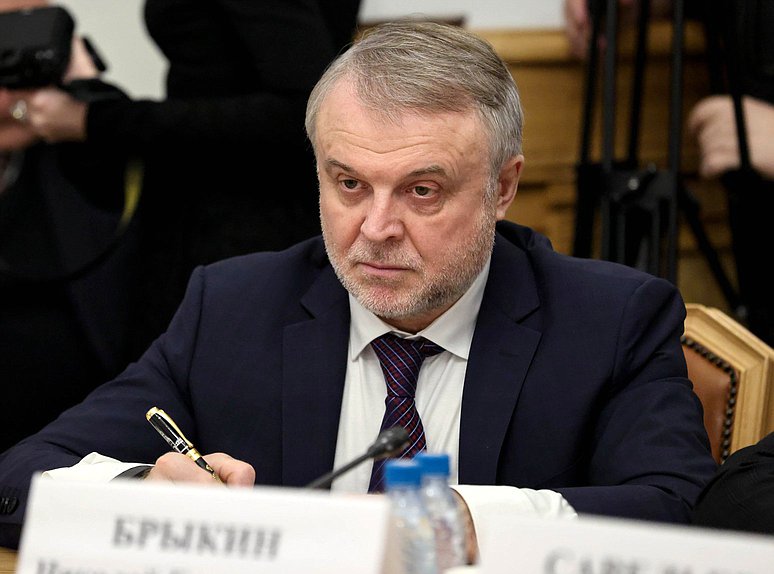 Member of the Committee on International Affairs Nikolay Brykin