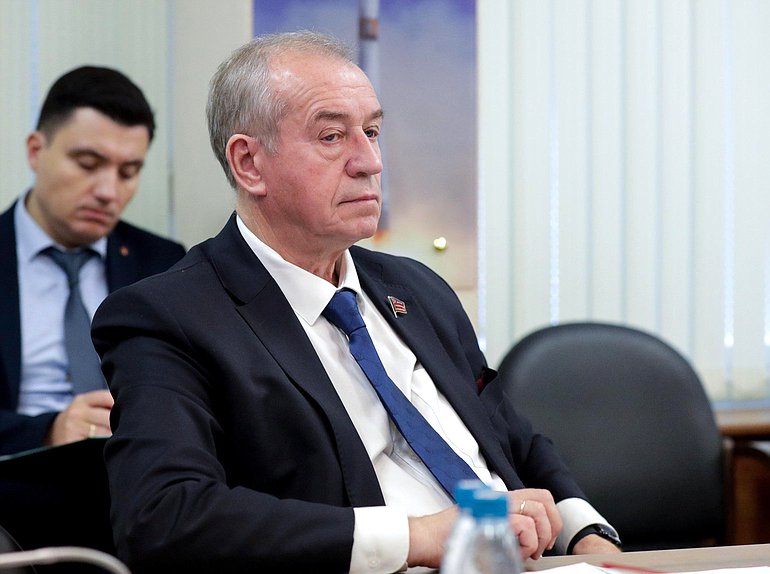 Первый заместитель Председателя Комитета по энергетике Сергей Левченко