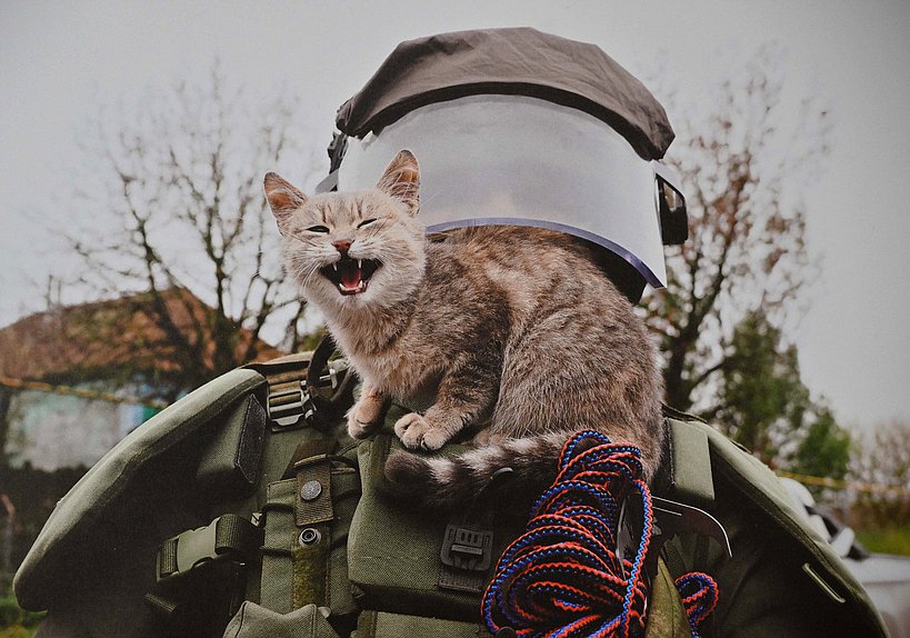 Открытие выставки «Мы — армия страны, мы — армия народа», приуроченной к празднованию Дня защитника Отечества