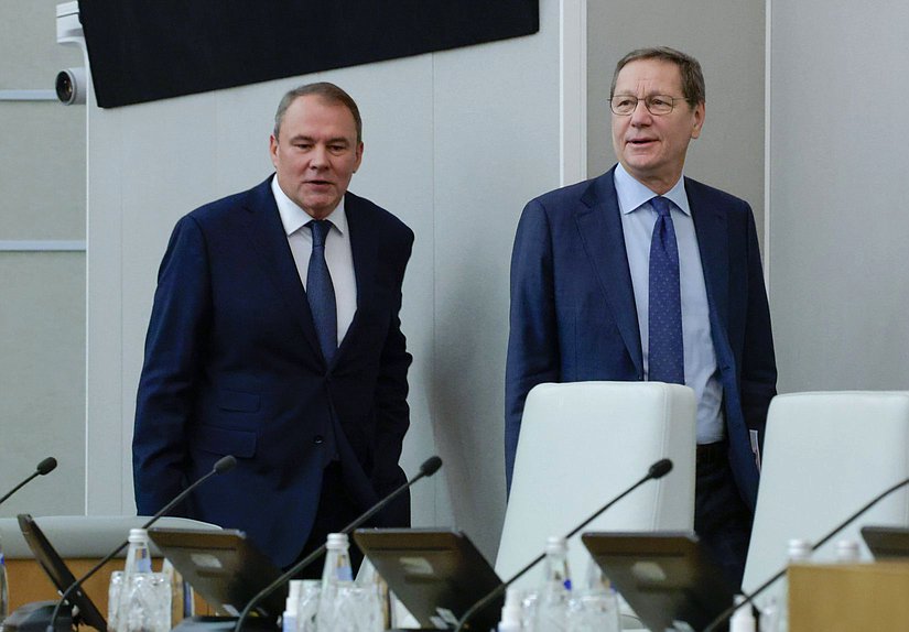 Заместитель Председателя Государственной Думы Петр Толстой и Первый заместитель Председателя Государственной Думы Александр Жуков