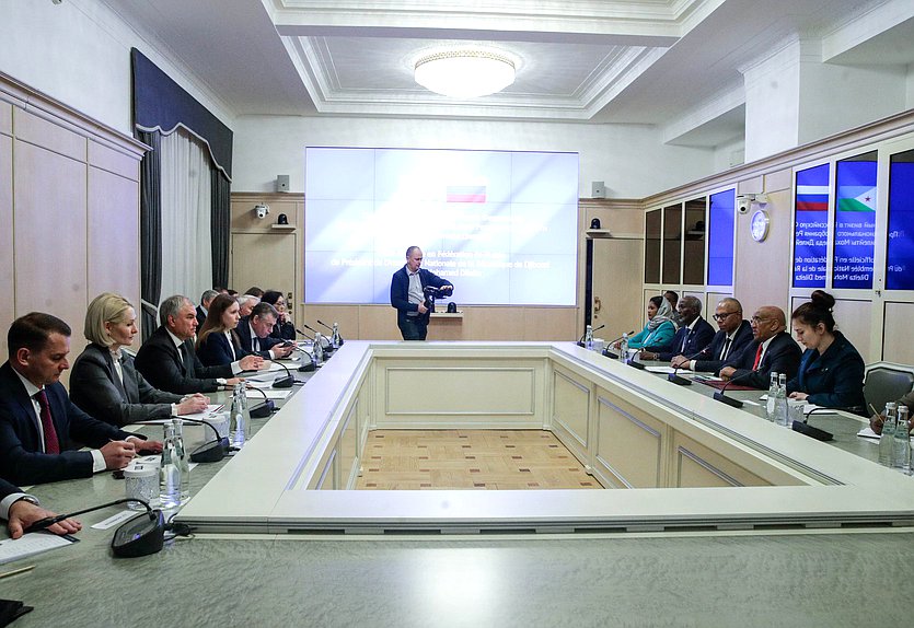 Meeting of Chairman of the State Duma Vyacheslav Volodin and Speaker of the National Assembly of the Republic of Djibouti Dileita Mohamed Dileita