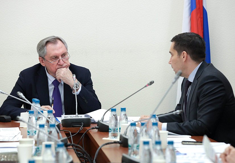 Председатель Комитета по энергетике Николай Шульгинов