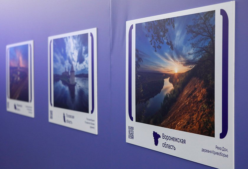 выставка картина река Воронеж Дон