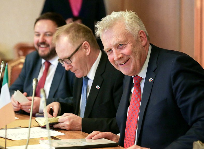 Meeting of the delegation of the parliamentary friendship group ”Ireland-Russia“ and Interparliamentary Group of the State Duma on interaction with Parliament of Ireland