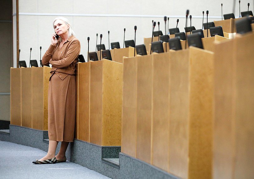 Заместитель Председателя Комитета по государственному строительству и законодательству Ирина Белых