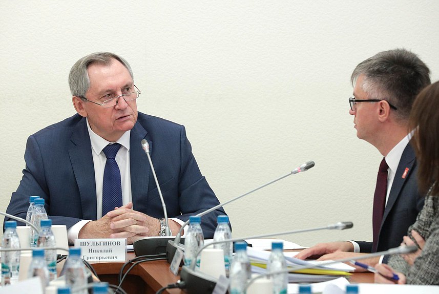 Председатель Комитета по энергетике Николай Шульгинов и статс-секретарь — заместитель министра энергетики РФ Дмитрий Исламов