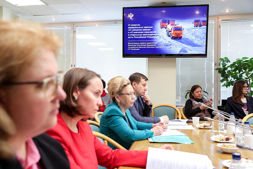 Заседание Комитета по развитию Дальнего Востока и Арктики