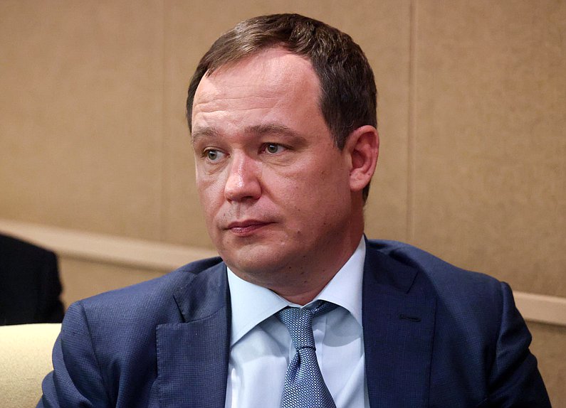 Аудитор Счетной палаты РФ Данил Шилков