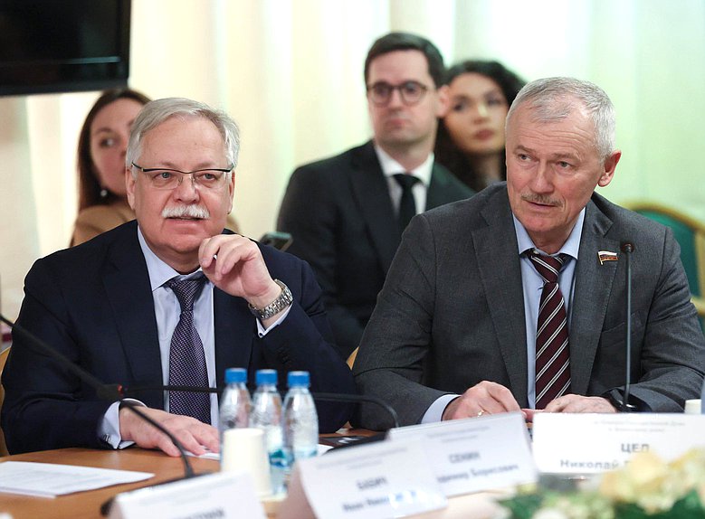 Члены Комитета по финансовому рынку Владимир Сенин и Николай Цед