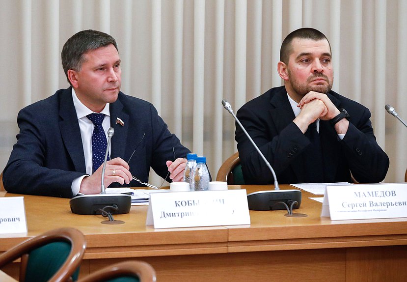 Председатель Комитета по экологии, природным ресурсам и охране окружающей среды Дмитрий Кобылкин и аудитор Счетной палаты РФ Сергей Мамедов