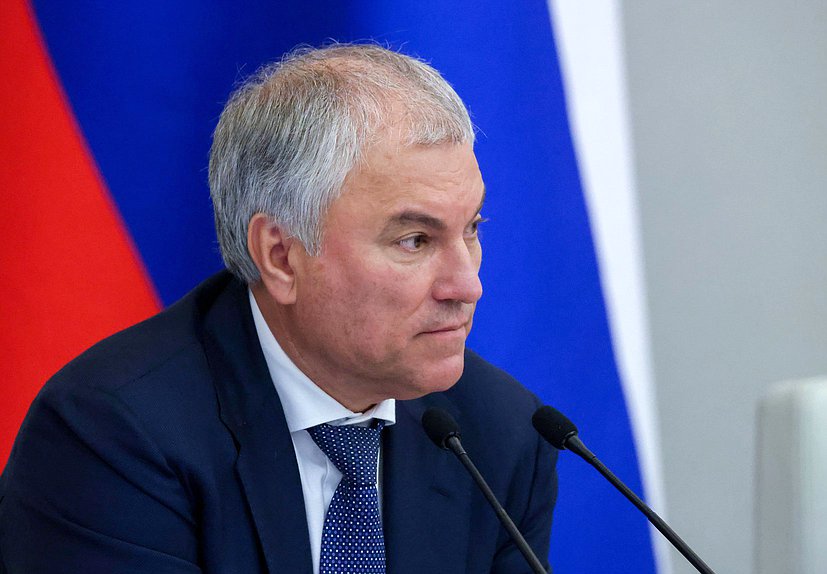 Председатель Государственной Думы Вячеслав Володин