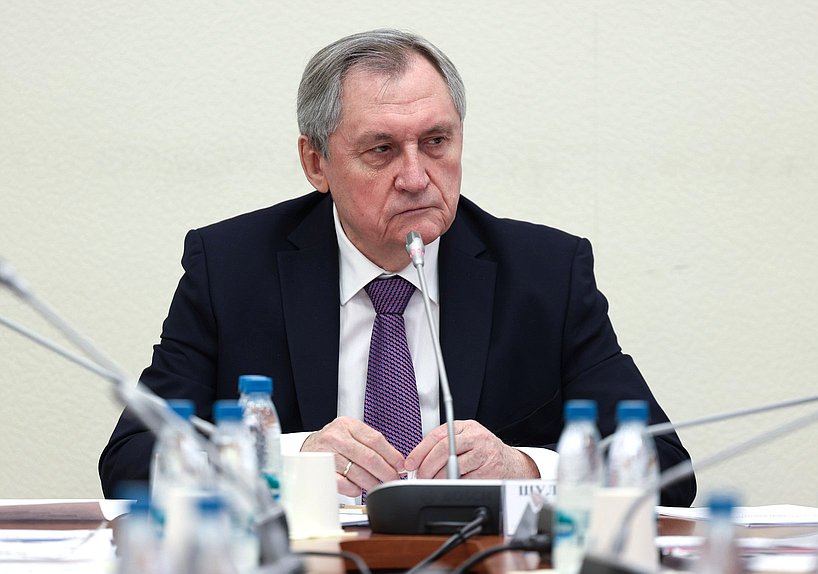 Председатель Комитета по энергетике Николай Шульгинов