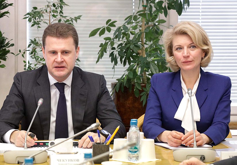 Министр по развитию Дальнего Востока и Арктики Алексей Чекунков и аудитор Счетной палаты РФ Наталья Трунова