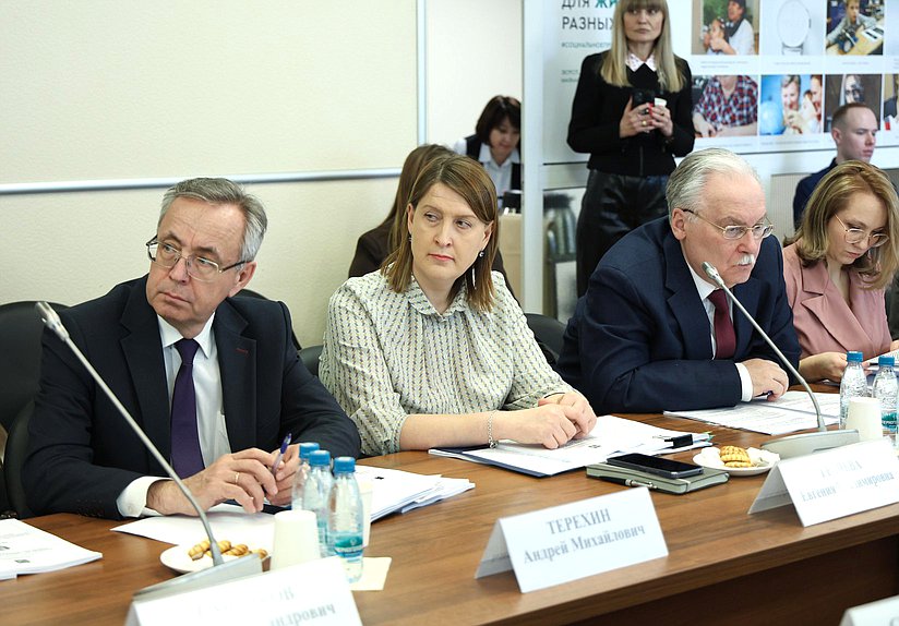 Заседание рабочей группы по совершенствованию законодательства по профилактике безнадзорности и правонарушений несовершеннолетних