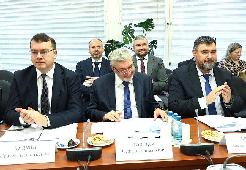 Заседание Комитета по энергетике