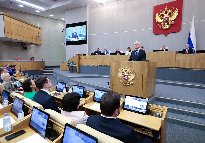 Руководитель фракции "Единая Россия" Владимир Васильев