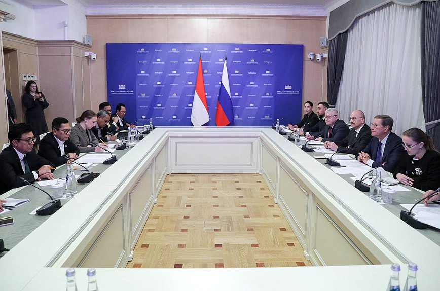 Meeting of First Deputy Chairman of the State Duma Alexander Zhukov and Deputy Chairman of the Commission on Law, Human Rights and Security of the House of Representatives of the Republic of Indonesia Adies Kadir