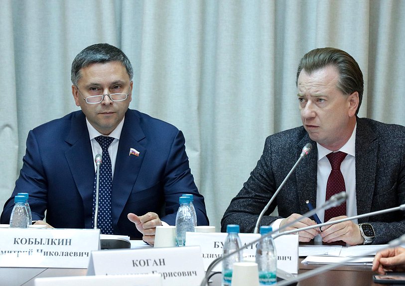 Председатель Комитета по экологии, природным ресурсам и охране окружающей среды Дмитрий Кобылкин и Первый заместитель Председателя Комитета Владимир Бурматов
