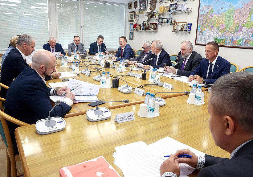 Заседание Комитета по развитию Дальнего Востока и Арктики