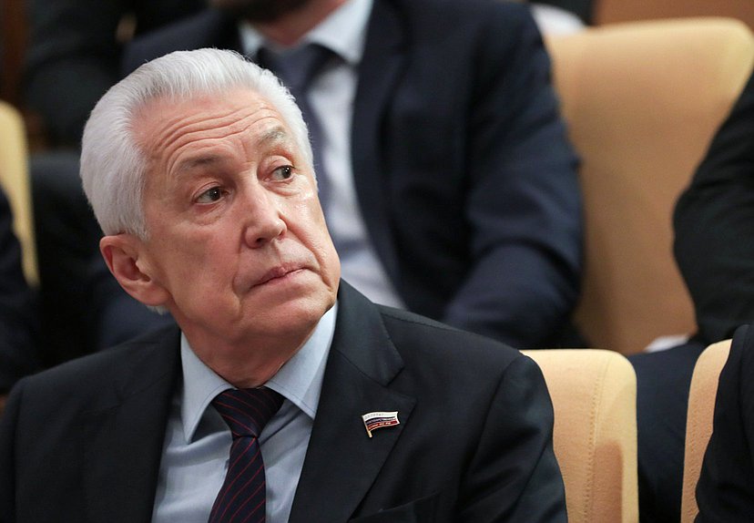 Руководитель фракции «Единая Россия» Владимир Васильев