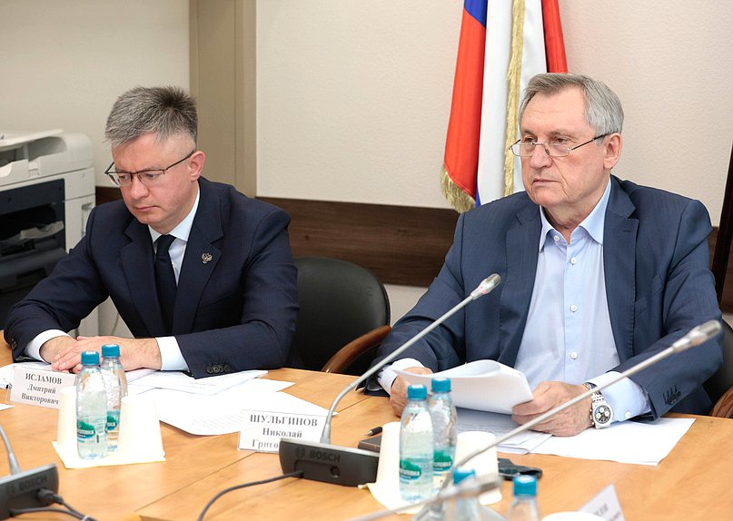 Статс-секретарь — заместитель министра энергетики РФ Дмитрий Исламов и Председатель Комитета по энергетике Николай Шульгинов