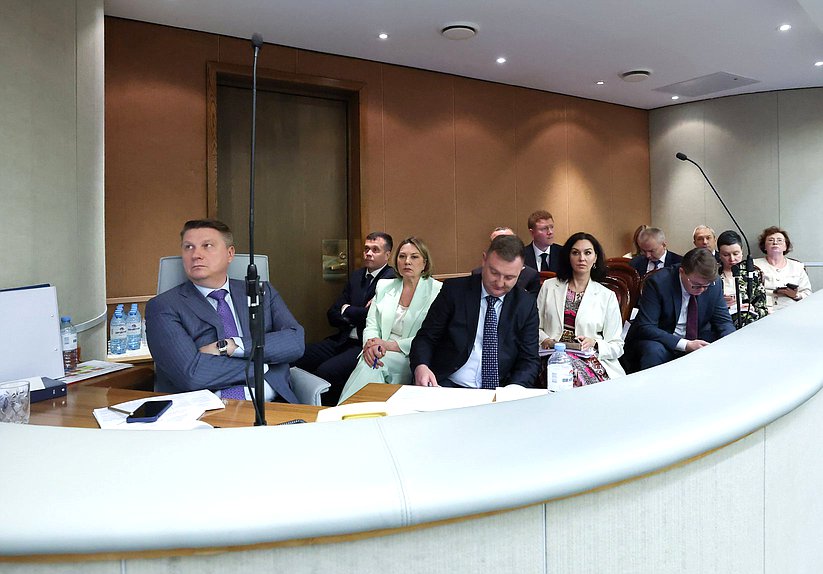 Полномочный представитель Правительства РФ в Государственной Думе Александр Синенко
