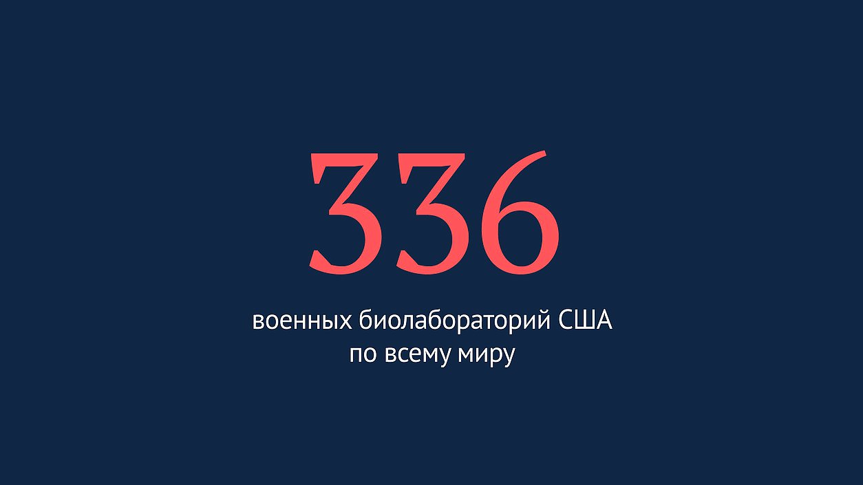 тамлв Т