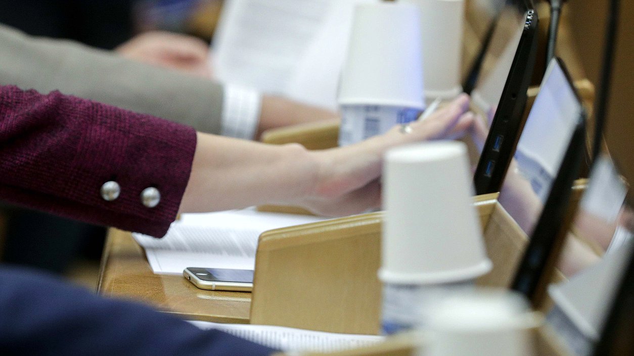 plenary meeting voting