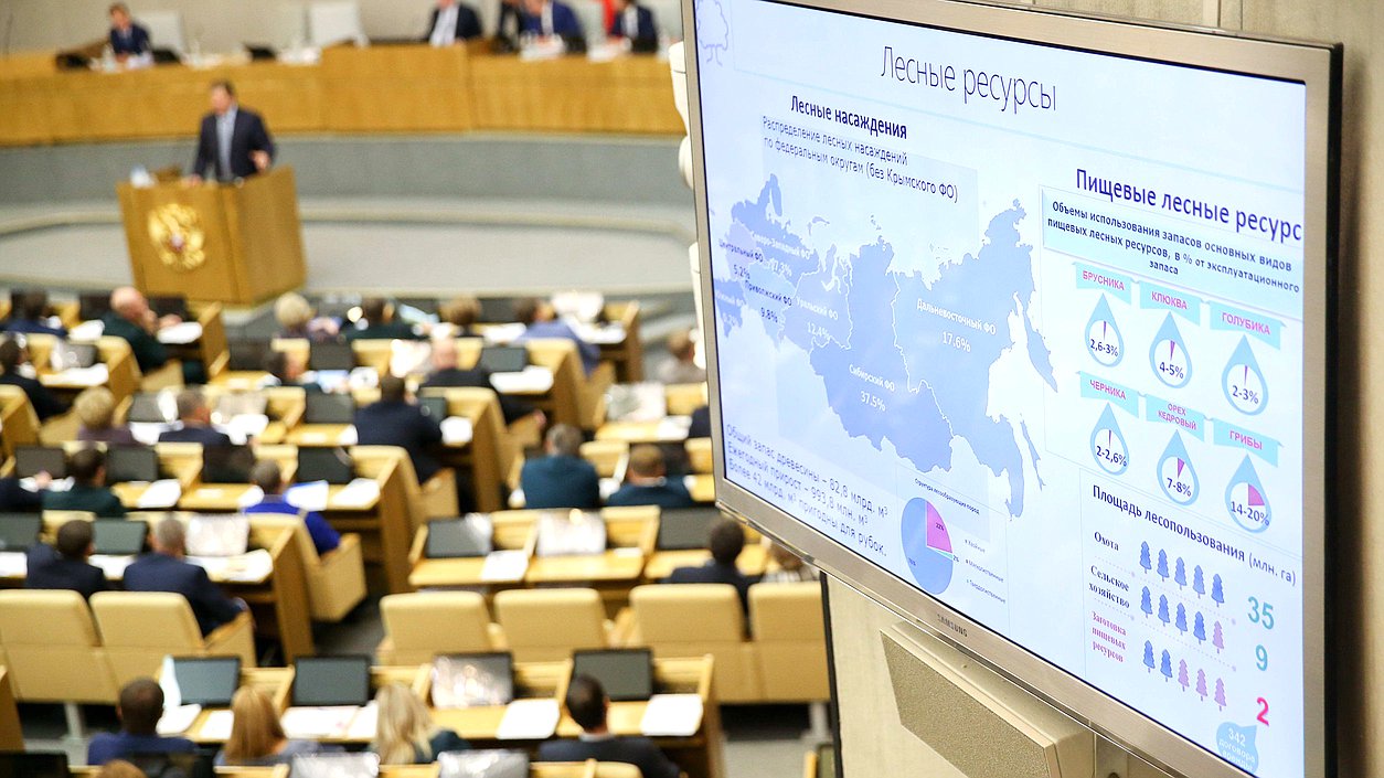 Парламентские слушания на тему «Проблемы и перспективы законодательного регулирования многоцелевого использования лесных ресурсов»