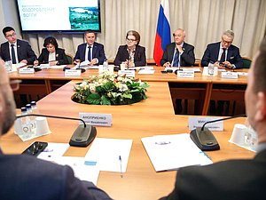Заседание межфракционной рабочей группы Комитета по экологии, природным ресурсам и охране окружающей среды по сохранению и развитию реки Волги
